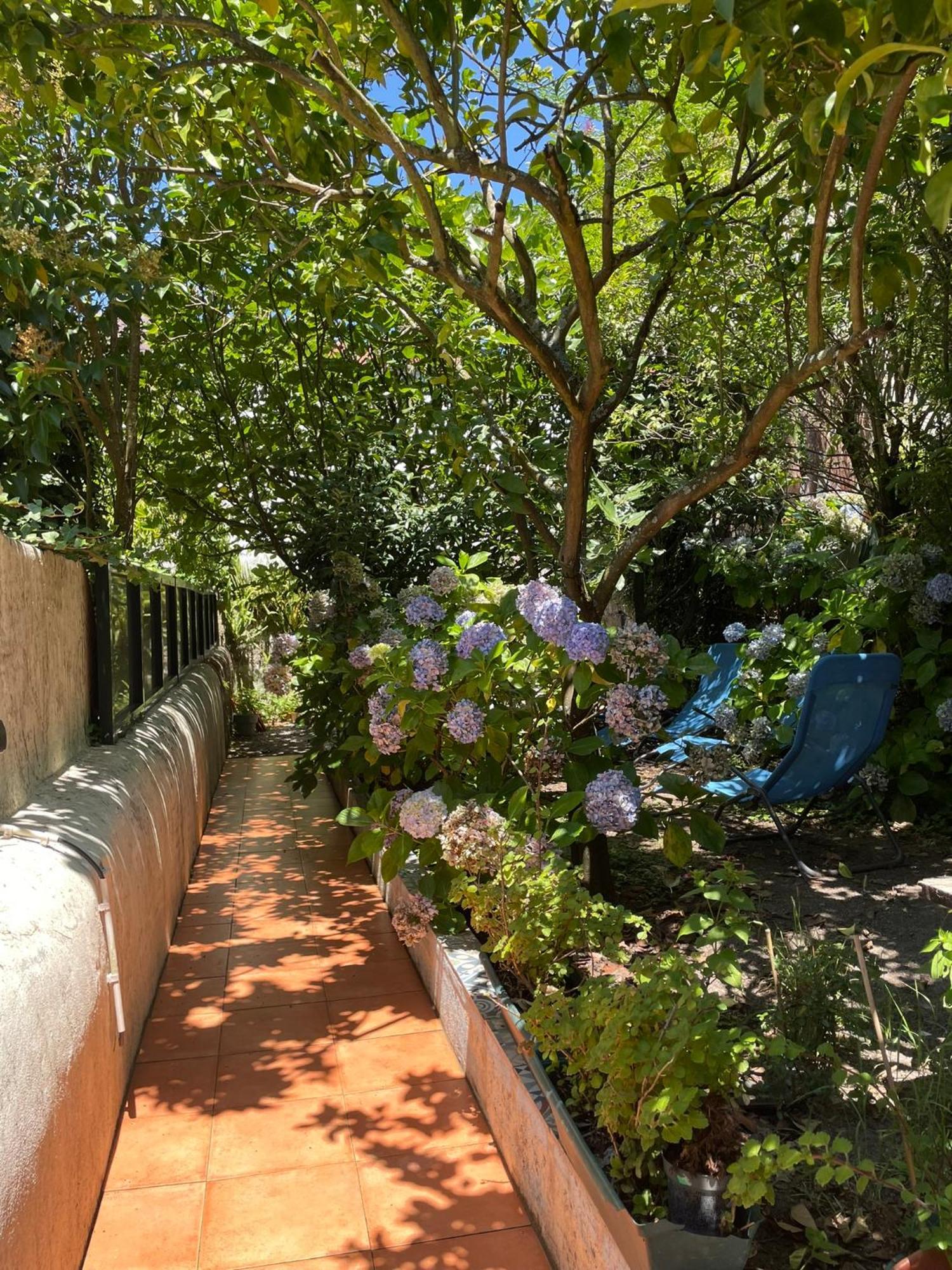 Apartamento Casa Portugueza Experience OOporto Exterior foto